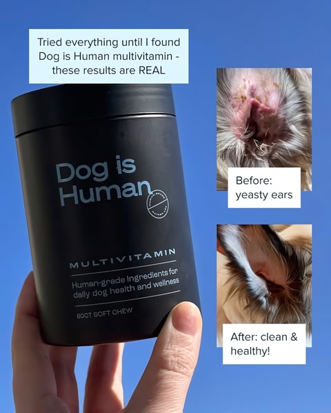 This creative uses a clear before-and-after visual comparison to demonstrate the efficacy of a dog multivitamin, building instant trust with pet owners.